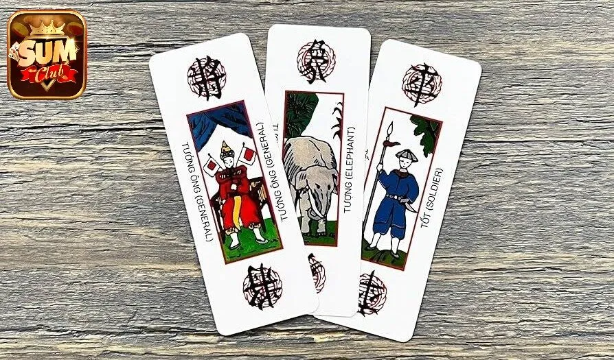 Những dạng bài cơ bản